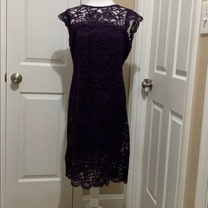 Lauren Ralph Lauren Purple Lace Cocktail dress
